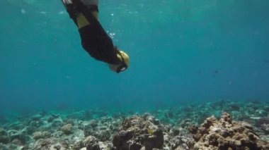 Kızıl Deniz mercan resif keşfetmek çok serbest dalgıç