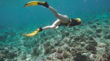 Mercan Denizi'nde keşfetmek seksi serbest dalgıç