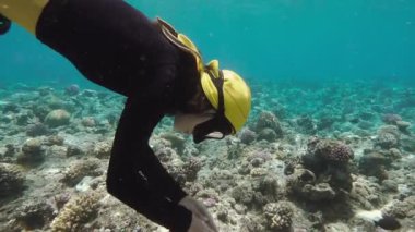 Oldukça özgür dalgıç mercan resif keşfetmek