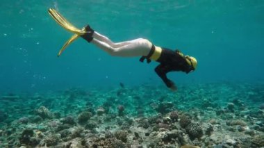 Mercan Denizi yoluyla dalış oldukça özgür dalgıç