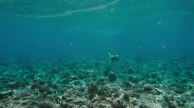 Oldukça ücretsiz diver keşfetmek mercan balık deniz