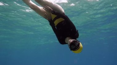 Bayağı deniz dünya zevk dalgıç kız ücretsiz