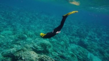 Kadın bir mercan kayalığı dalış ücretsiz