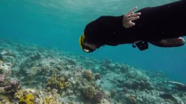 Bir kız bir mercan kayalığı dalış ücretsiz