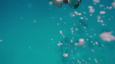 Ücretsiz yunuslarla deniz dalış freediver kız