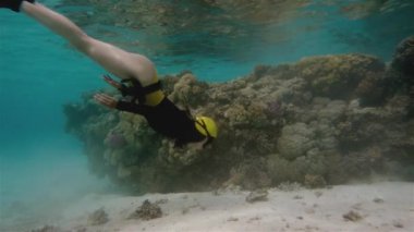 Kızıl Deniz mercan sarı bikini Freediver kız