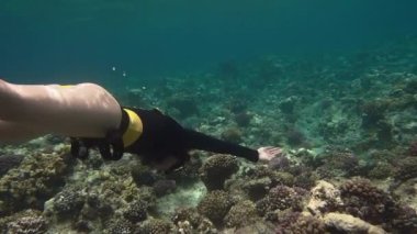 Freediver kızı izleme mercan