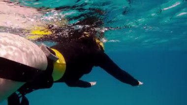 Kadın sualtı dalış ücretsiz