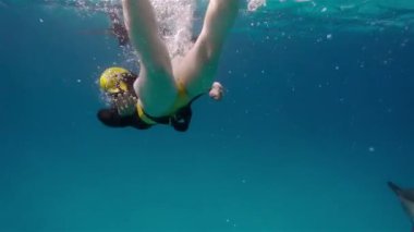 Bir freediver kız ve yunuslar Denizi