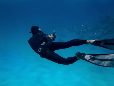 Yunuslar Red Sea'deki/daki filme freediver