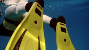 Bir erkek Pasifik Okyanusu'nda dalış ücretsiz