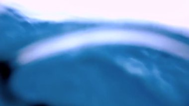 Pasifik Okyanusu ücretsiz diver