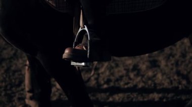 At Binme güzel kadın exersicing