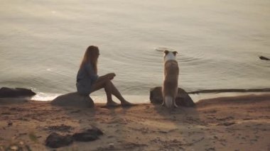 Köpek sahibi ile plajda oynarken zevk