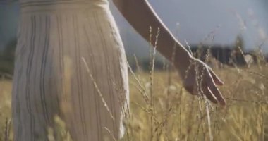 Gün batımında bir bitki alanında kadın el