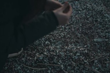 akşam kabukları toplama sahilde kız