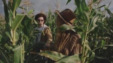 Mısır tarlasında yürüyen kahverengi şapkalı mutlu bir ailenin portresi. Sarışın kız, beyaz erkek arkadaşını kendi elleriyle yönetiyor ve onu çalılıklardan kurtarıyor. Erkek, kadını büyütür ve büyütür..