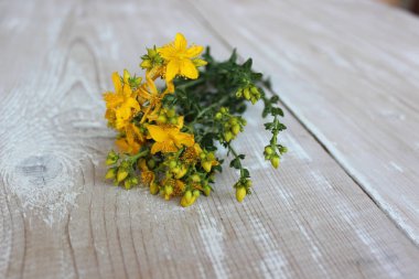 Sarı St Johns wort çiçekler