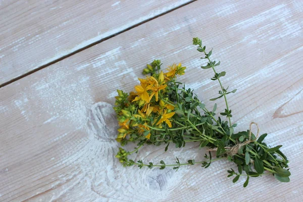 Sarı St Johns wort çiçekler