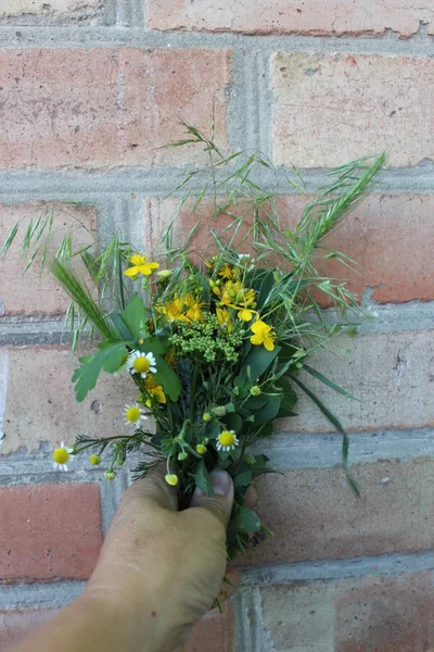 Çok renkli çiçek el yaz