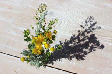 Zemin kurullarının üzerine yaz çok renkli çiçekler