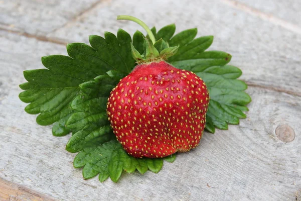 Fresas Orgánicas Maduras Fondo Las Tablas Agricultura — Foto de Stock