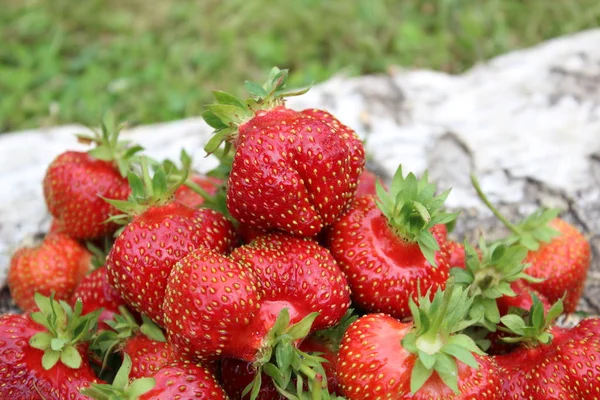 Fresas orgánicas maduras — Foto de Stock