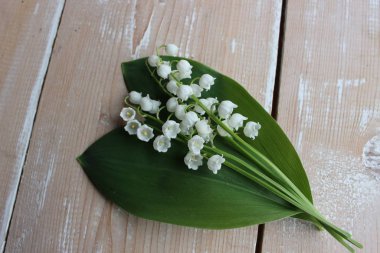 Panoların arka planda vadinin Zambaklar