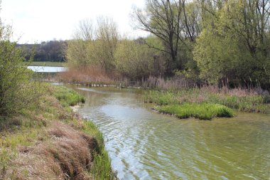 Büyük granit taşlı bir nehir. Steppe. Doğa