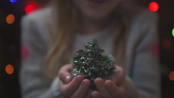 Mooi Meisje Bedrijf Weinig Kerstboom Haar Handen Happy Wintervakantie Vakantie — Stockvideo