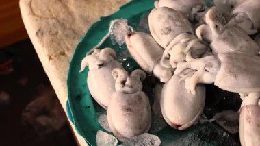 Lüks deniz ürünleri restoranında taze beyaz mürekkep balığı sergileniyor. Yüksek kalite 4k görüntü