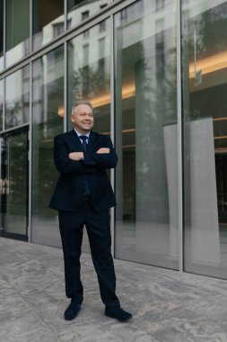 Mavi takım elbiseli, kravatlı 60 yaşında şık bir adam. Yüksek kalite fotoğraf