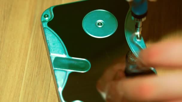 Closeup of a hand which unscrew the screw. Computer processor cover. — Stock Video