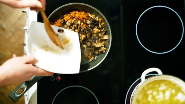 Primer plano de una mano haciendo una sopa casera con champiñones. Zanahorias y cebollas en rodajas. Añadir los champiñones picados. Freír hasta que esté hecho . — Vídeos de Stock