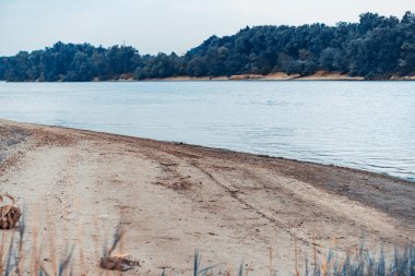 Vahşi kumlu eğimli yüzey. Karşı kıyıda kıyı yeşil.