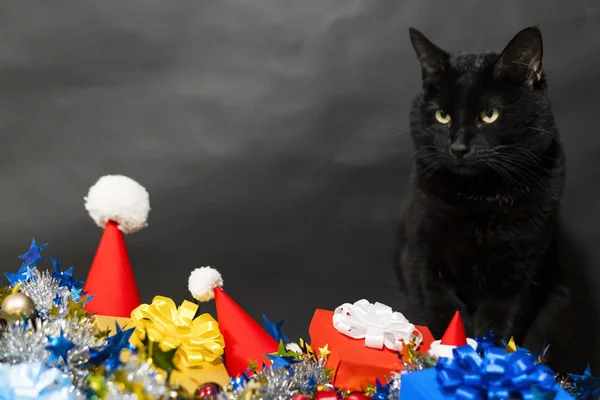 Noel süslemeleri ve Noel şapka. Siyah bir kedi tarafından yeni yıl tinsel oturur.