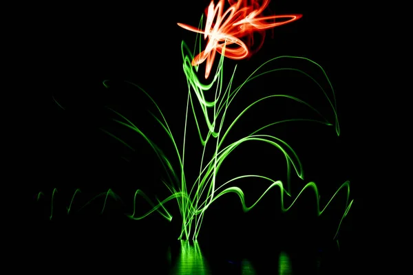 Light effect Abstract flower. Multicolored blurred light lines. — Stock Photo, Image