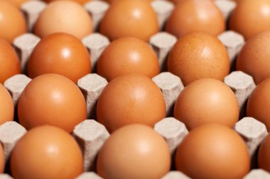 Koyu arkaplanda ürünü olan yumurta tepsisi.