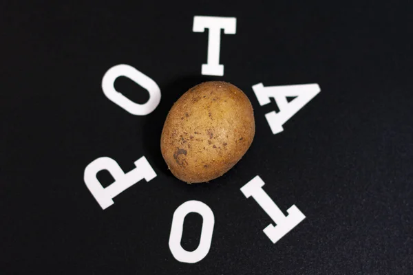Στη φωτογραφία, ένας φρέσκος κόνδυλος πατάτας. — Φωτογραφία Αρχείου