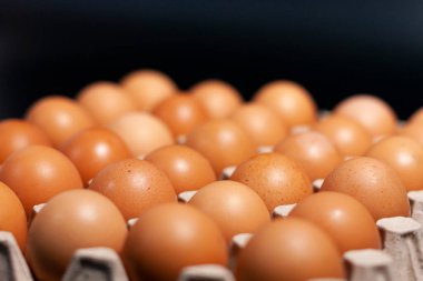 Yumurta tepsisi kameraya bir açıyla yerleştirildi. Yan görünüm.