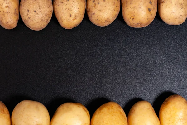 Below and above are rows of fresh potato tubers. — Stock Photo, Image
