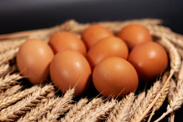 Na tela está uma armação redonda feita de espigas de trigo. No centro há ovos de galinha. Vista lateral. — Fotografia de Stock
