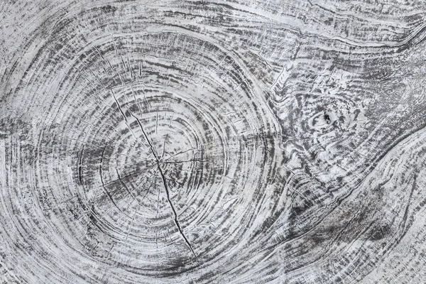 Деревянный Текстурированный Белый Фон Структура Серого Дерева Крупный План Резка — стоковое фото