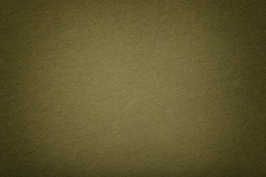 Koyu yeşil mat renkli süet kumaş, portre. Kadife dokusuna skeç ile hissettim kesintisiz zeytin yün.