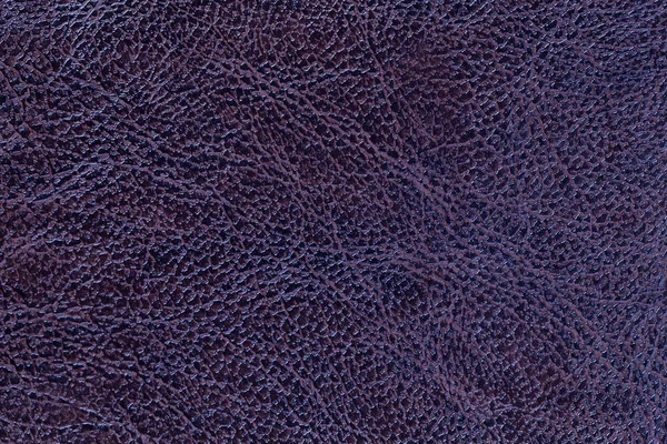 Gelakt donker violet leer textuur achtergrond, close-up. marineblauwe achtergrond — Stockfoto