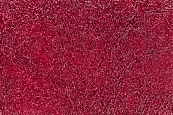 Fond de texture cuir rouge foncé, gros plan. Rubis fissuré toile de fond de la peau ridée — Photo