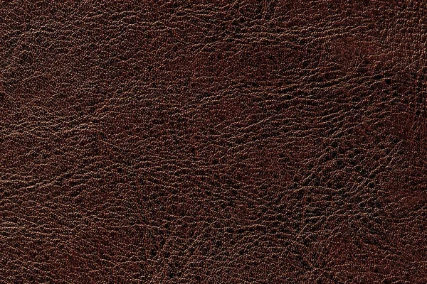 Fond de texture cuir brun foncé, gros plan. Bronze fissuré toile de fond de la peau ridée — Photo