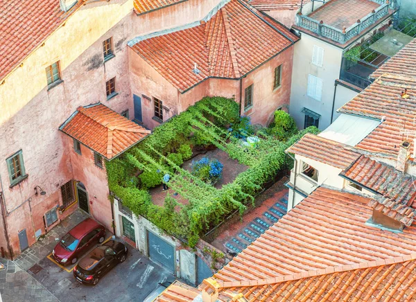 Lucca, italien - 18. august 2013: abgelegener dachgarten eines alten italienischen gebäudes. urbanes Dach aus dem mittelalterlichen Italien — Stockfoto
