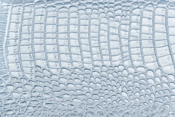 Light blue leather texture background, closeup. Reptile skin, macro.