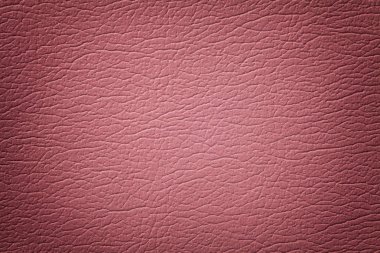 Koyu gül deri doku arka plan, closeup. Kırışıklık cilt pembe çatlak zemin
